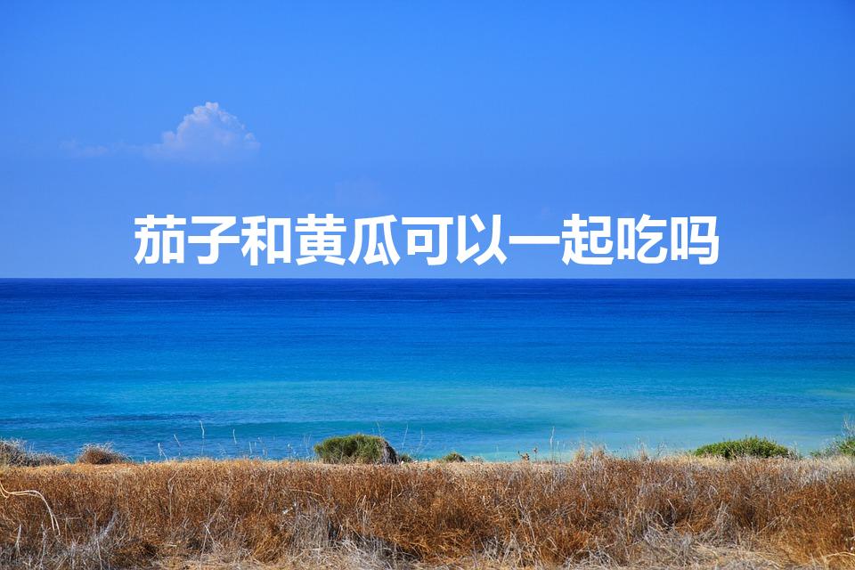 茄子和黄瓜可以一起吃吗（黄瓜茄子可以一起吃吗）
