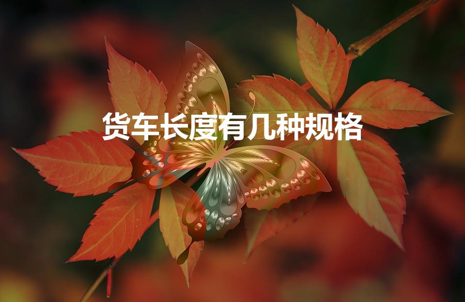 货车长度有几种规格（货车的尺寸都有哪些）