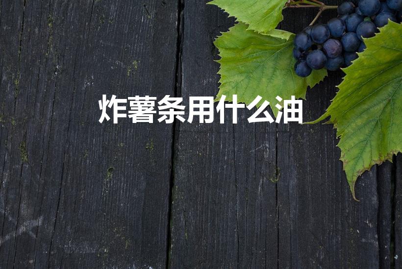 炸薯条用什么油（炸薯条用什么油好）