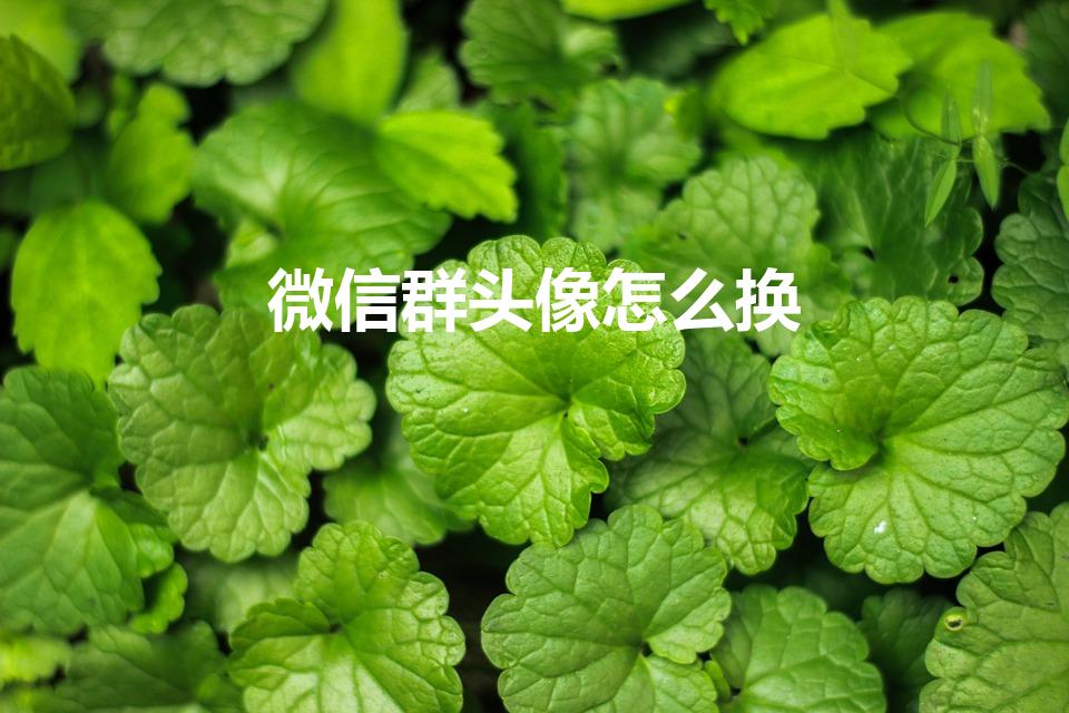 微信群头像怎么换(怎么更改微信群的头像)