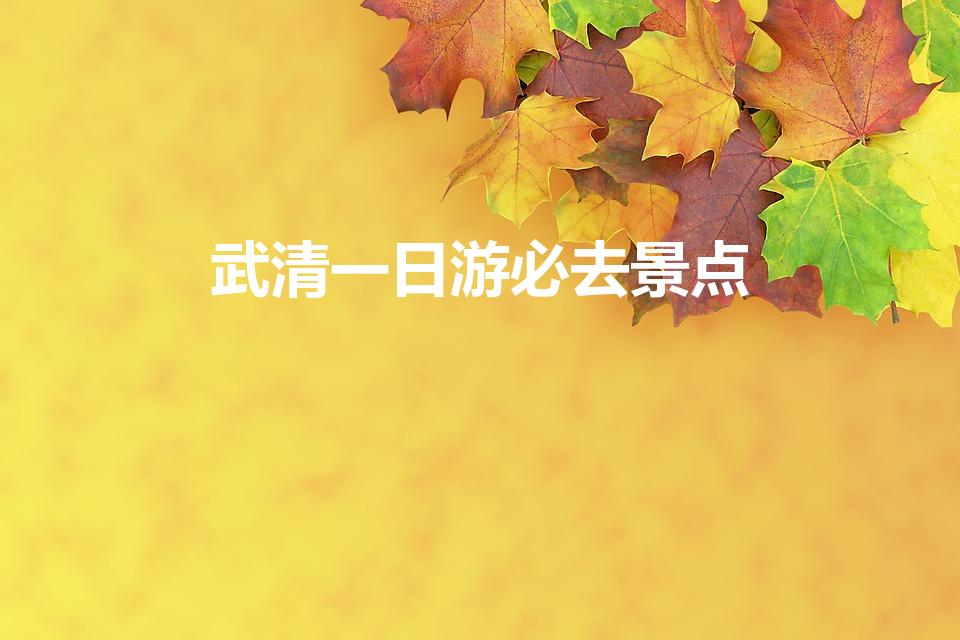 武清一日游必去景点（武清必去十大景点）