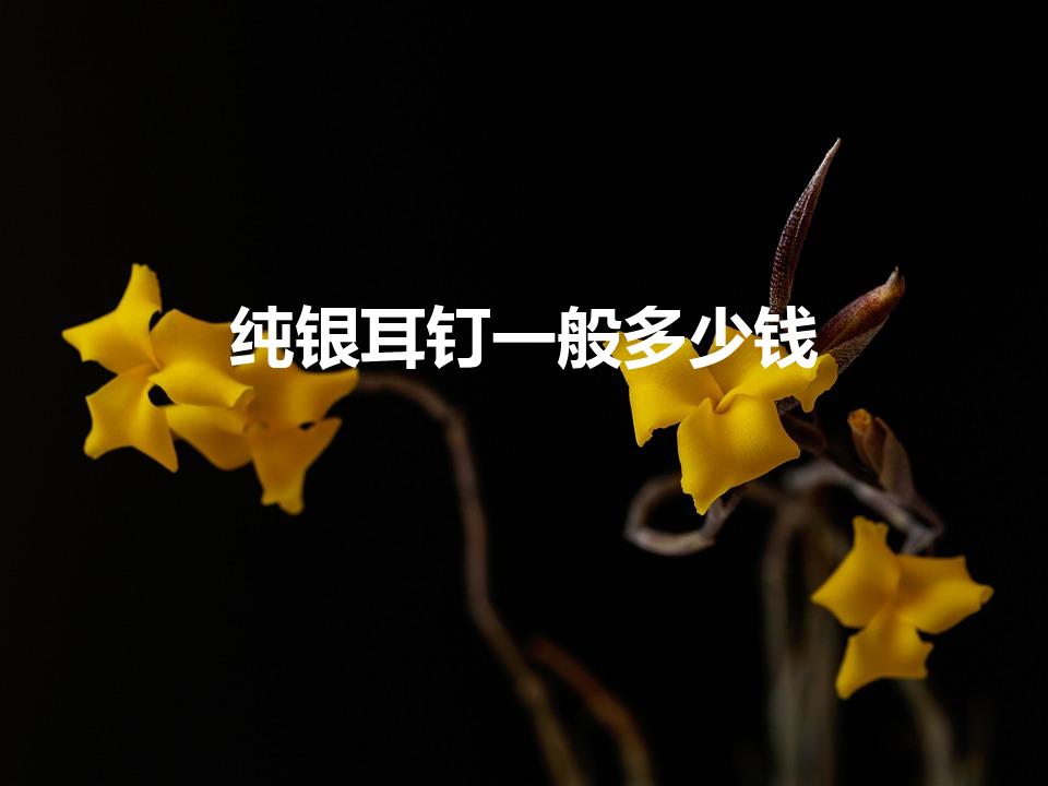 纯银耳钉一般多少钱（银耳环变黑怎么清洗比较亮）