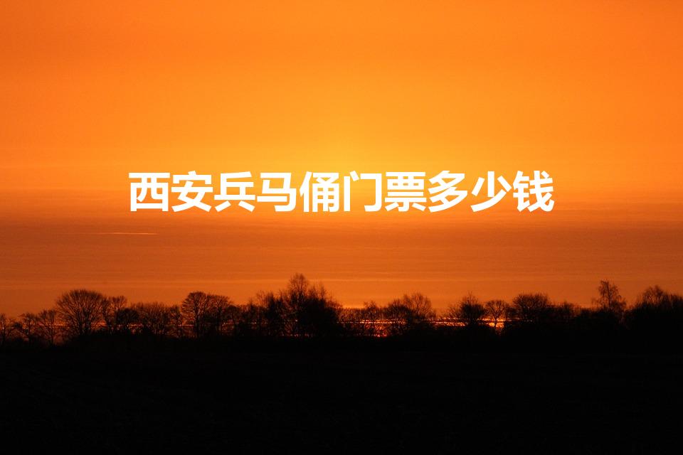 西安兵马俑门票多少钱（西安兵马俑门票价格）