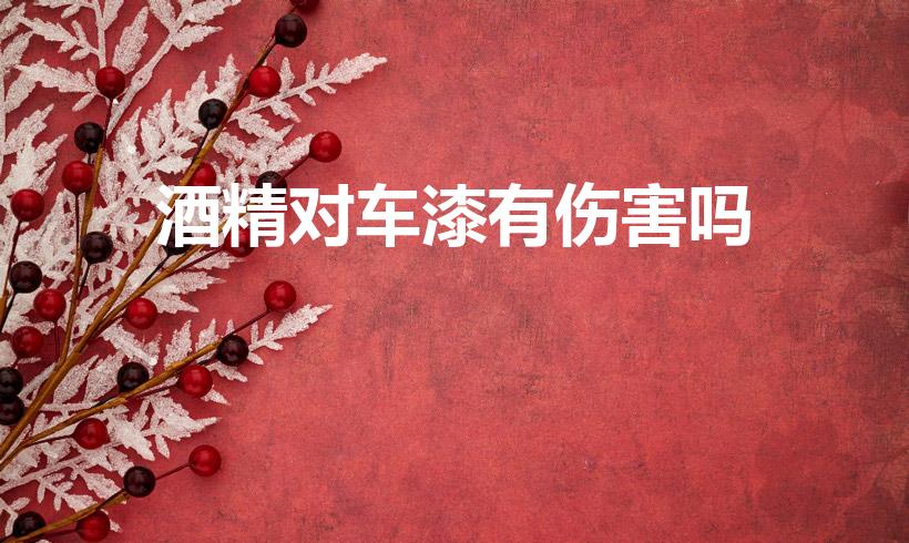 酒精对车漆有伤害吗（酒精会伤车漆吗）