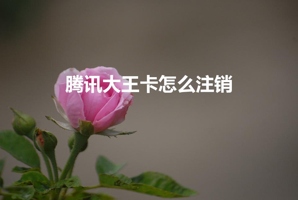 腾讯大王卡怎么注销（腾讯大王卡办了怎么注销）