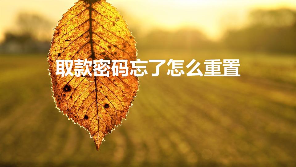 取款密码忘了怎么重置（取款密码忘记了怎么办）