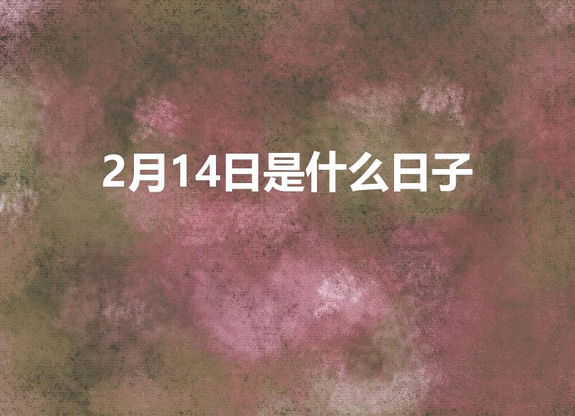 2月14日是什么日子（2月14日是什么节日）