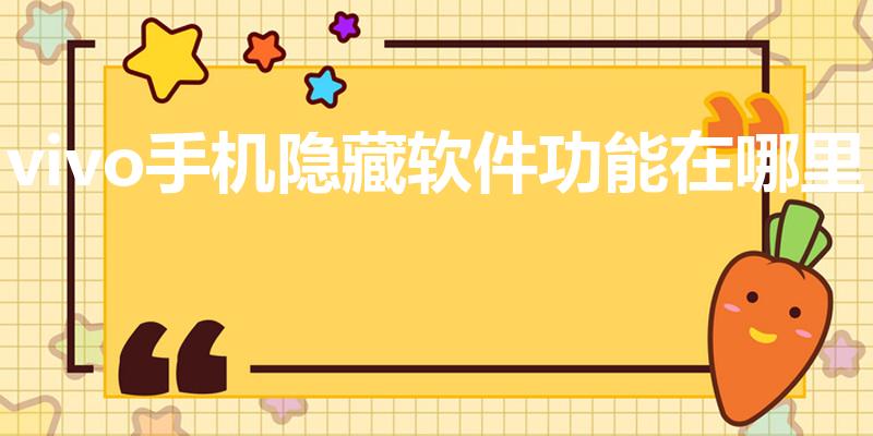 vivo手机隐藏软件功能在哪里（ViVO手机隐藏在哪里）
