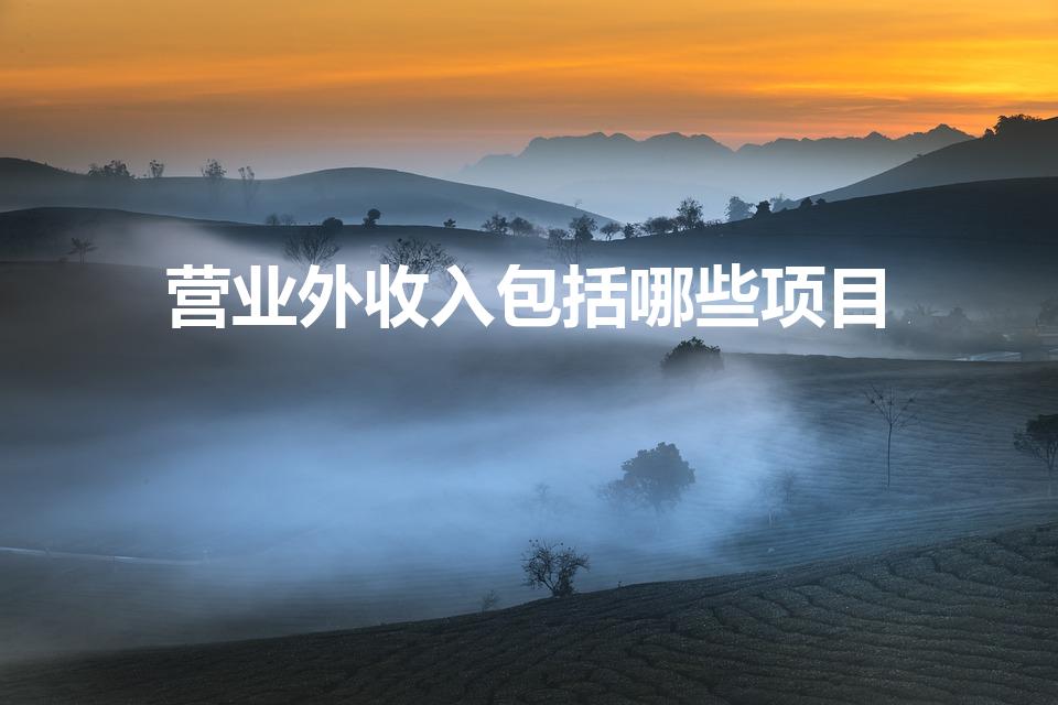 营业外收入包括哪些项目（营业外收入包括哪些内容）