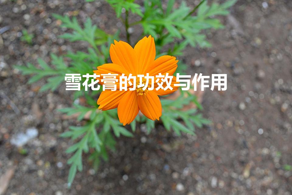 雪花膏的功效与作用（雅霜雪花膏功效与作用是什么）