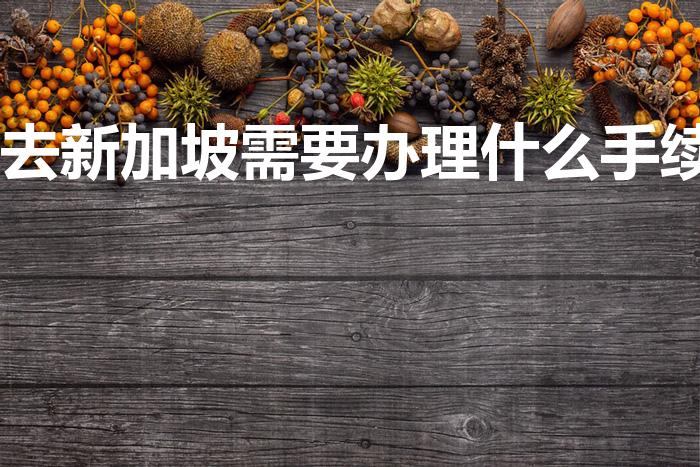 去新加坡需要办理什么手续（去新加坡工作需要办理什么手续）