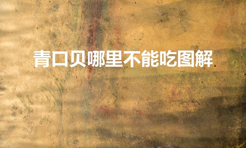 青口贝哪里不能吃图解（青口贝哪部分不能吃）