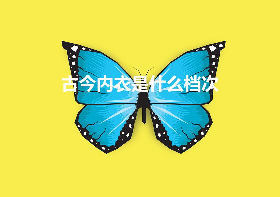 古今内衣是什么档次（古今内衣是贴牌吗）