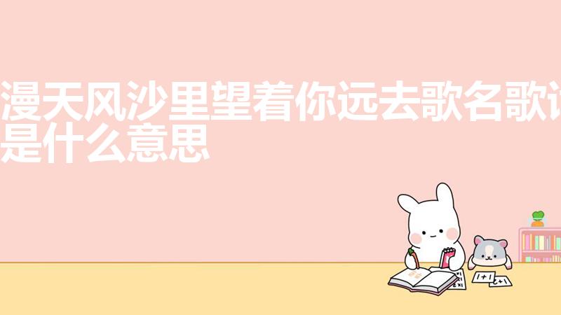 漫天风沙里望着你远去歌名歌词是什么意思