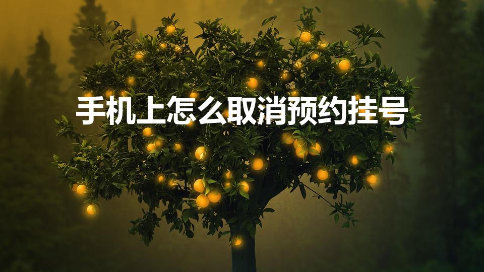 手机上怎么取消预约挂号（手机挂号后怎么取消预约）