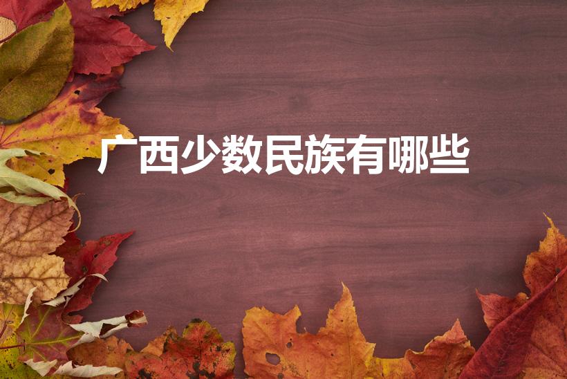 广西少数民族有哪些（广西少数民族有那几个）