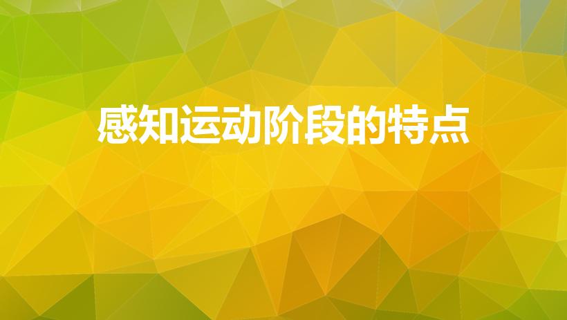 感知运动阶段的特点（皮亚杰认知发展四阶段及特点）