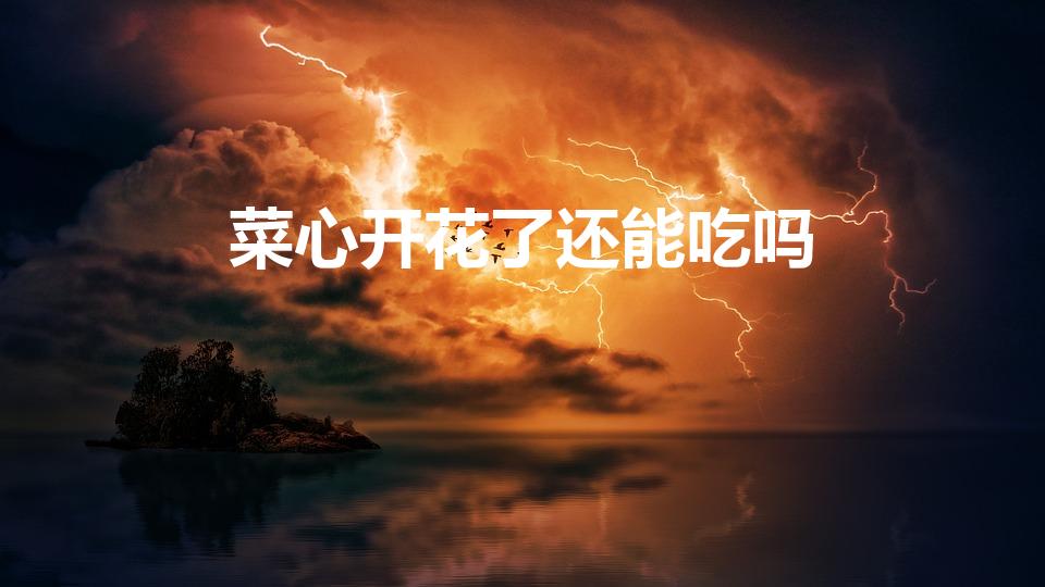 菜心开花了还能吃吗（菜心的菜花可以吃吗）