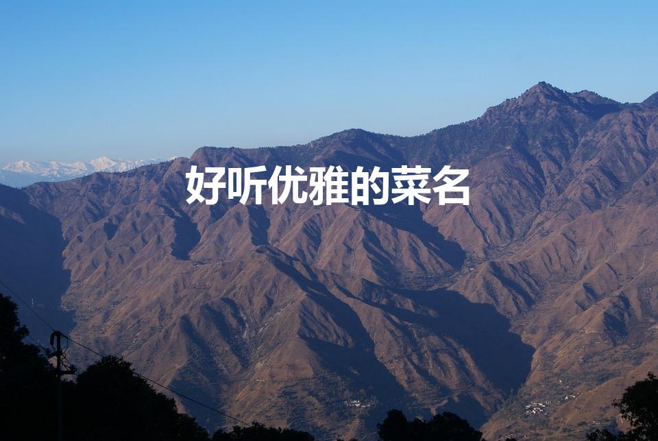 好听优雅的菜名（好听的菜名有哪些）