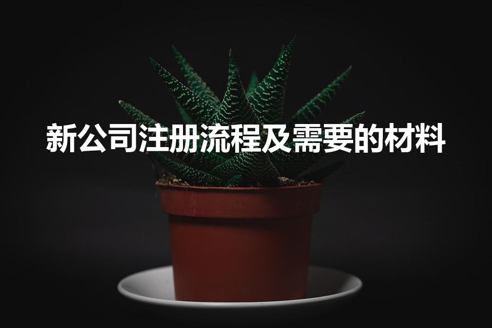 新公司注册流程及需要的材料（公司注册流程及需要的材料）