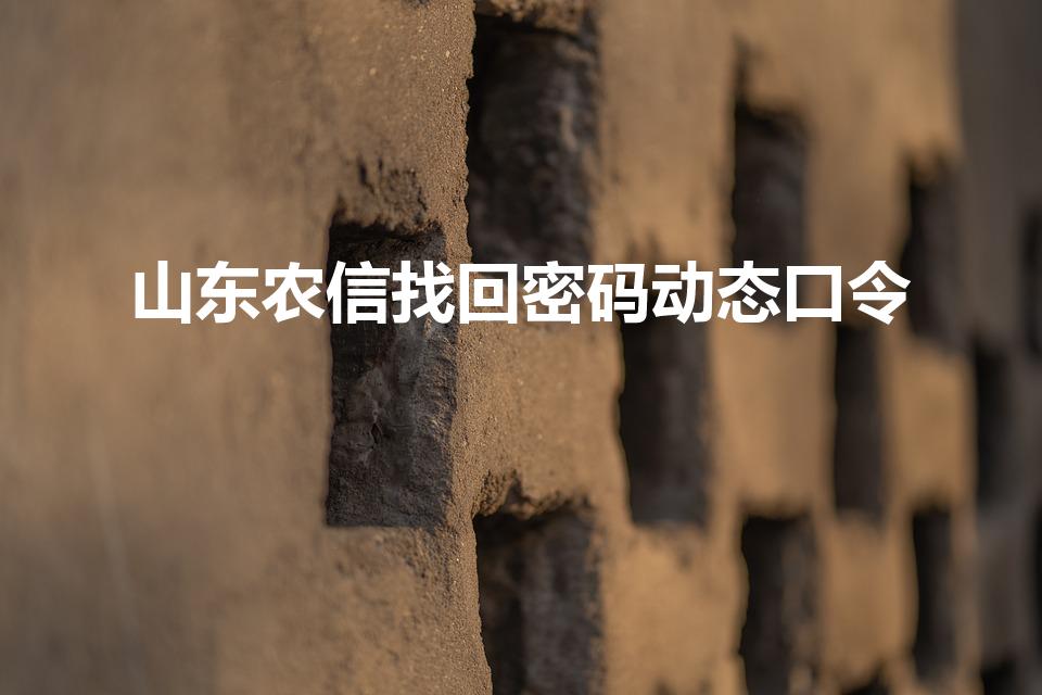 山东农信找回密码动态口令（农信动态口令是什么）