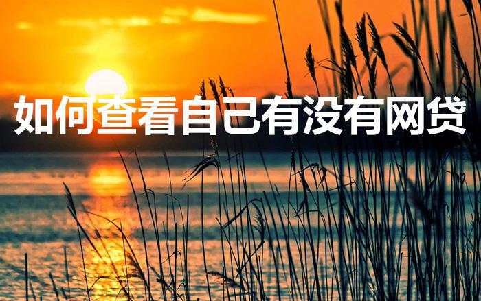 如何查看自己有没有网贷（怎么查自己有没有网贷）
