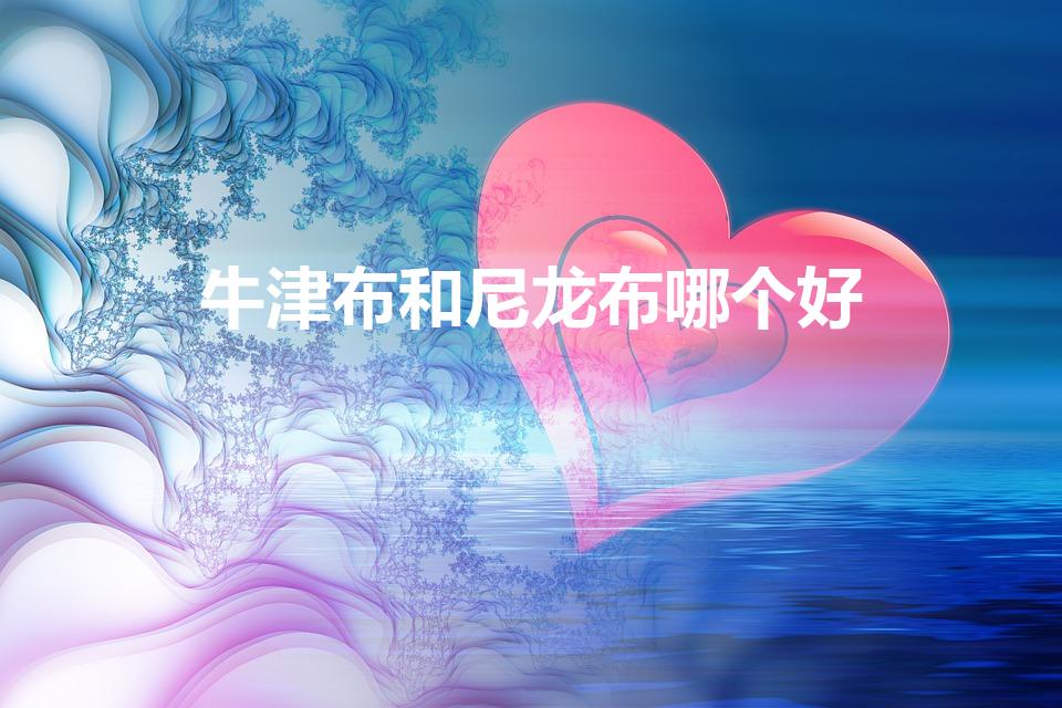 牛津布和尼龙布哪个好（尼龙布和牛津布哪个好）