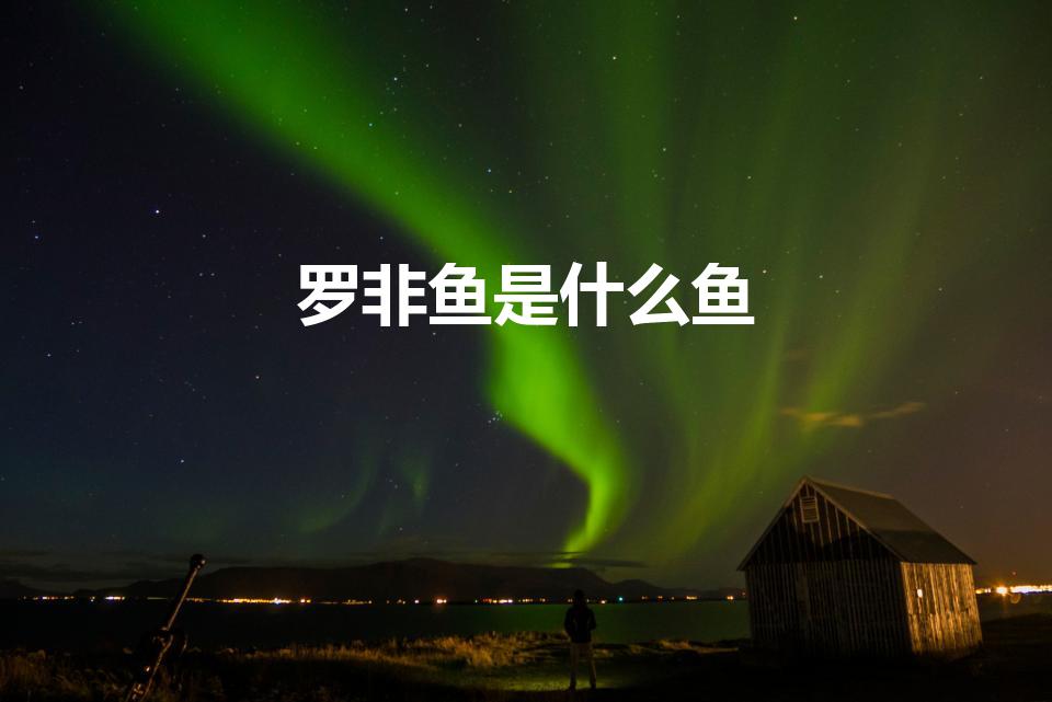 罗非鱼是什么鱼（罗非鱼是什么鱼,生长在哪里）