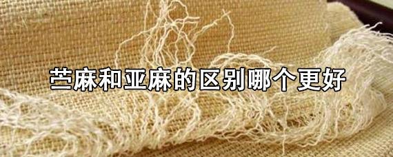 苎麻和亚麻哪个贵（苎麻与亚麻价格对比）