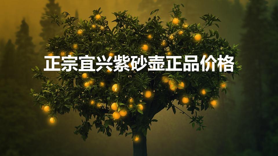 正宗宜兴紫砂壶正品价格（真的紫砂壶一个大约多少钱）