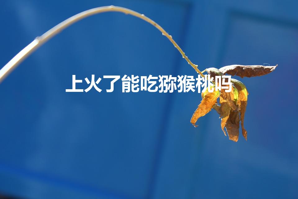 上火了能吃猕猴桃吗（上火吃什么水果好）