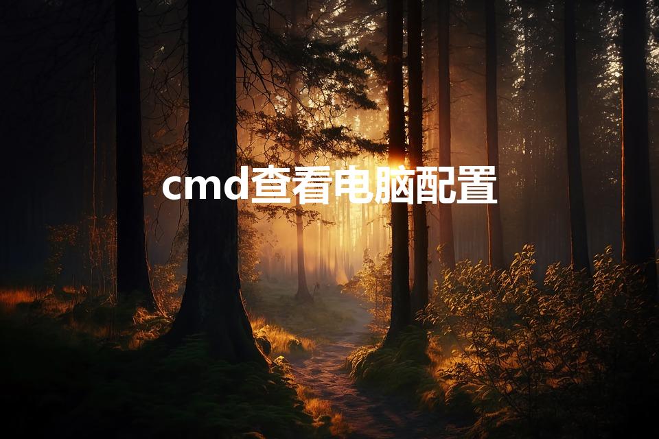 cmd查看电脑配置（查看电脑配置的cmd命令）