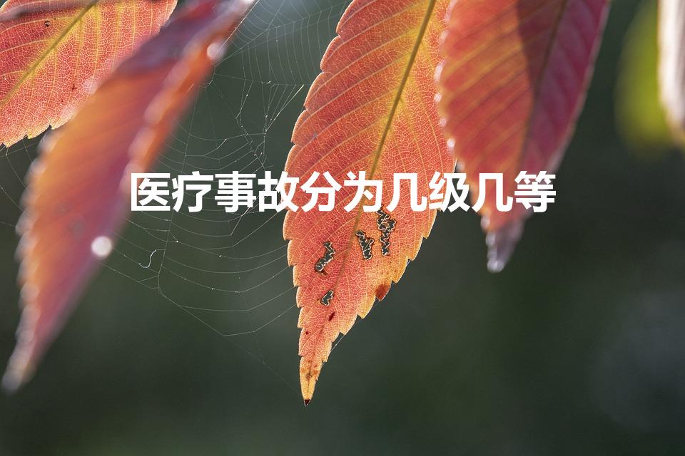 医疗事故分为几级几等（医疗事故分为几级）