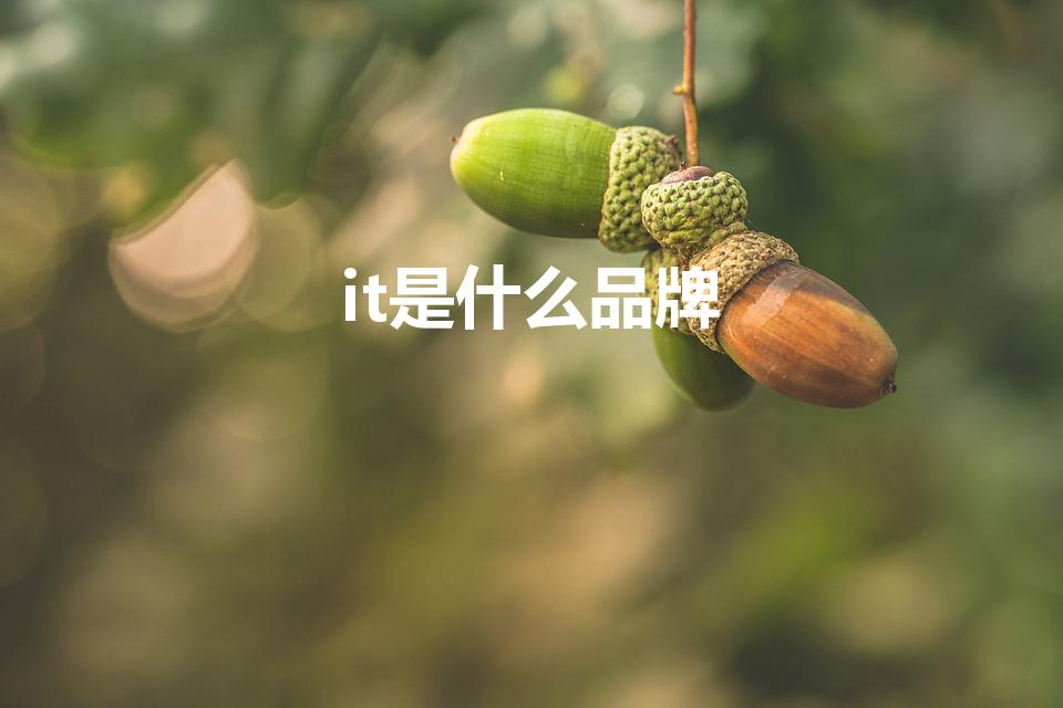 it是什么品牌（香港it是什么牌子的包包）