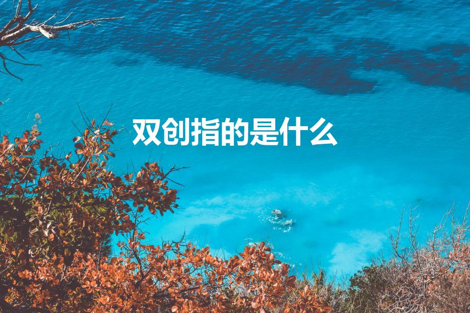 双创指的是什么（“双创”是什么意思）