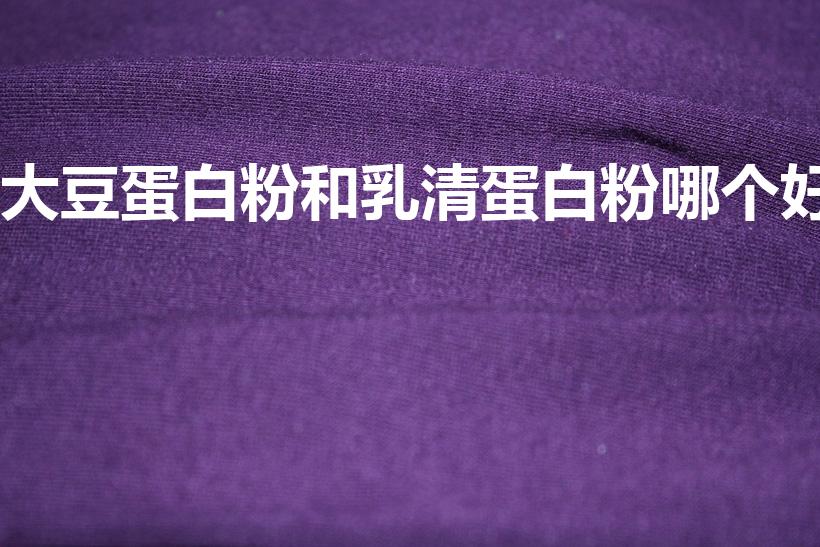 大豆蛋白粉和乳清蛋白粉哪个好