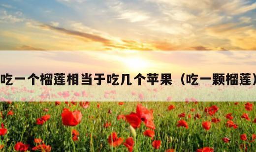 吃一个榴莲相当于吃几个苹果？吃一颗榴莲