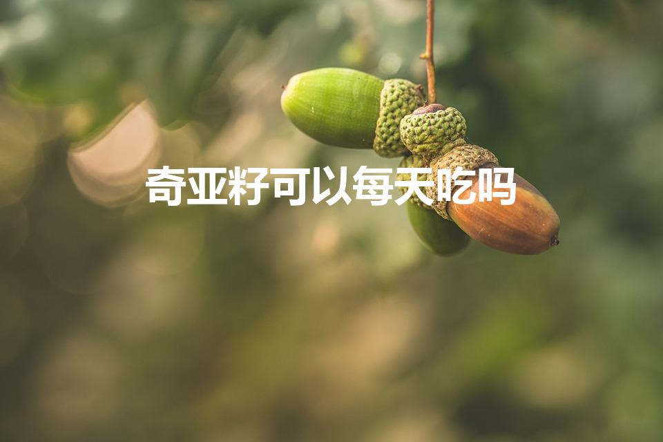 奇亚籽可以每天吃吗（奇亚籽能长期吃吗）