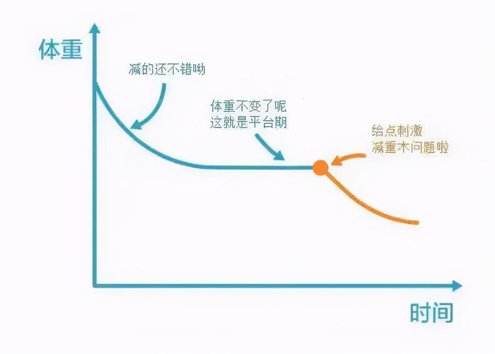 平台期什么意思（平台期解析及影响）