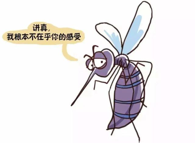 蚊子喜欢什么味道（探究蚊子对味道的偏好与吸引因素）
