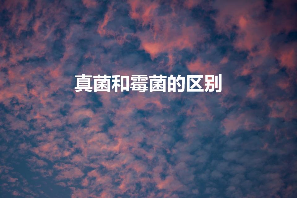 真菌和霉菌的区别（真菌 细菌 霉菌有什么区别啊）