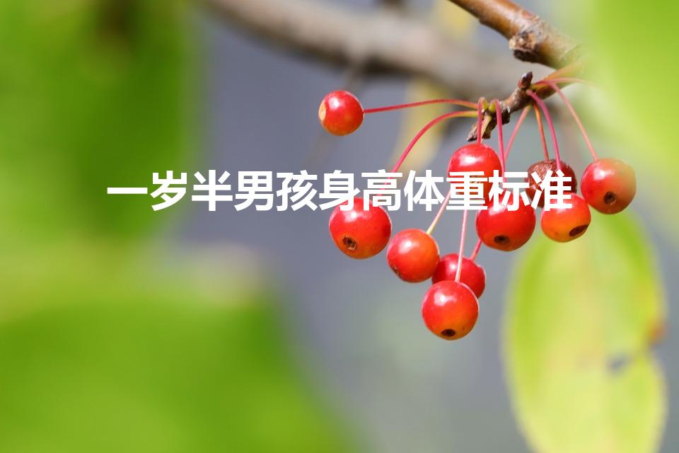 一岁半男孩身高体重标准（一岁半的小孩身高应该是多少）